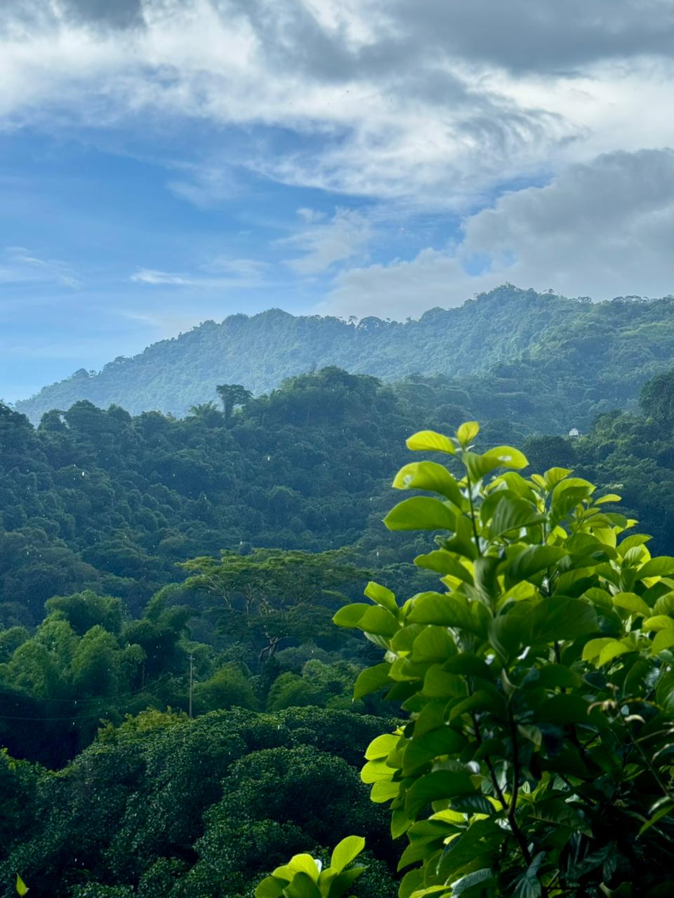 Signs Your Soul Is Asking You to Slow Down