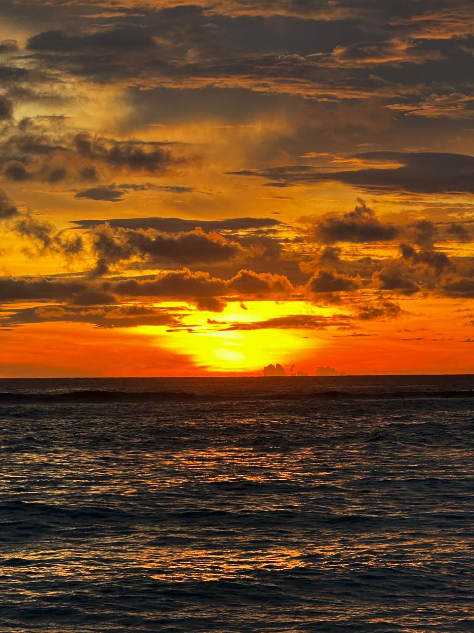 The Art of Coming Home to Yourself